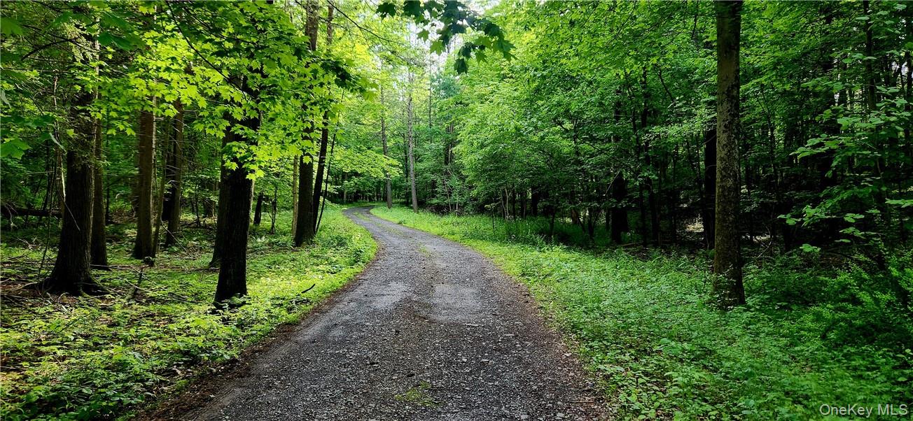 34 Stonykill & Granite Road, Accord, NY 12404