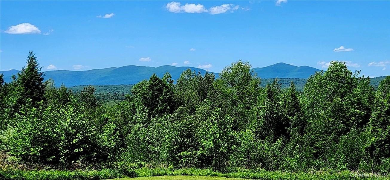 34 Stonykill & Granite Road, Accord, NY 12404