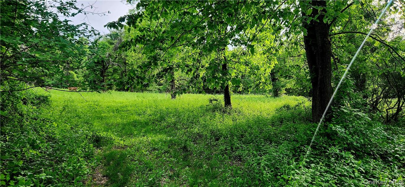 34 Stonykill & Granite Road, Accord, NY 12404