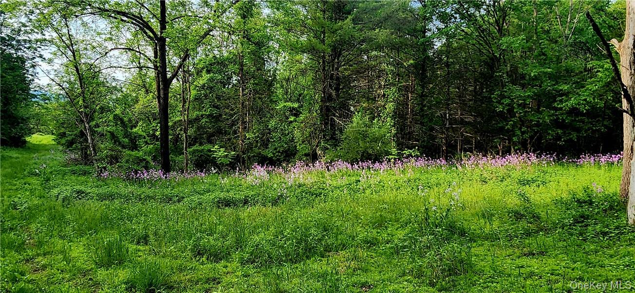 34 Stonykill & Granite Road, Accord, NY 12404