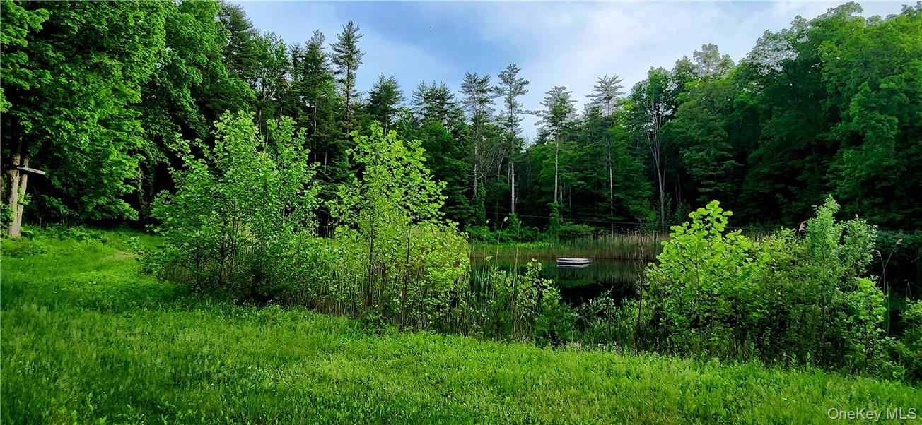 34 Stonykill & Granite Road, Accord, NY 12404