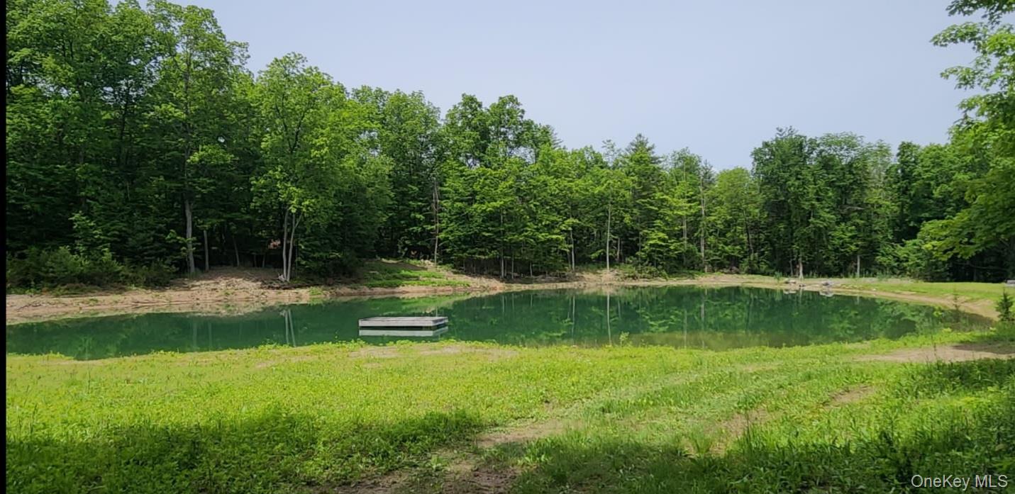 34 Stonykill & Granite Road, Accord, NY 12404