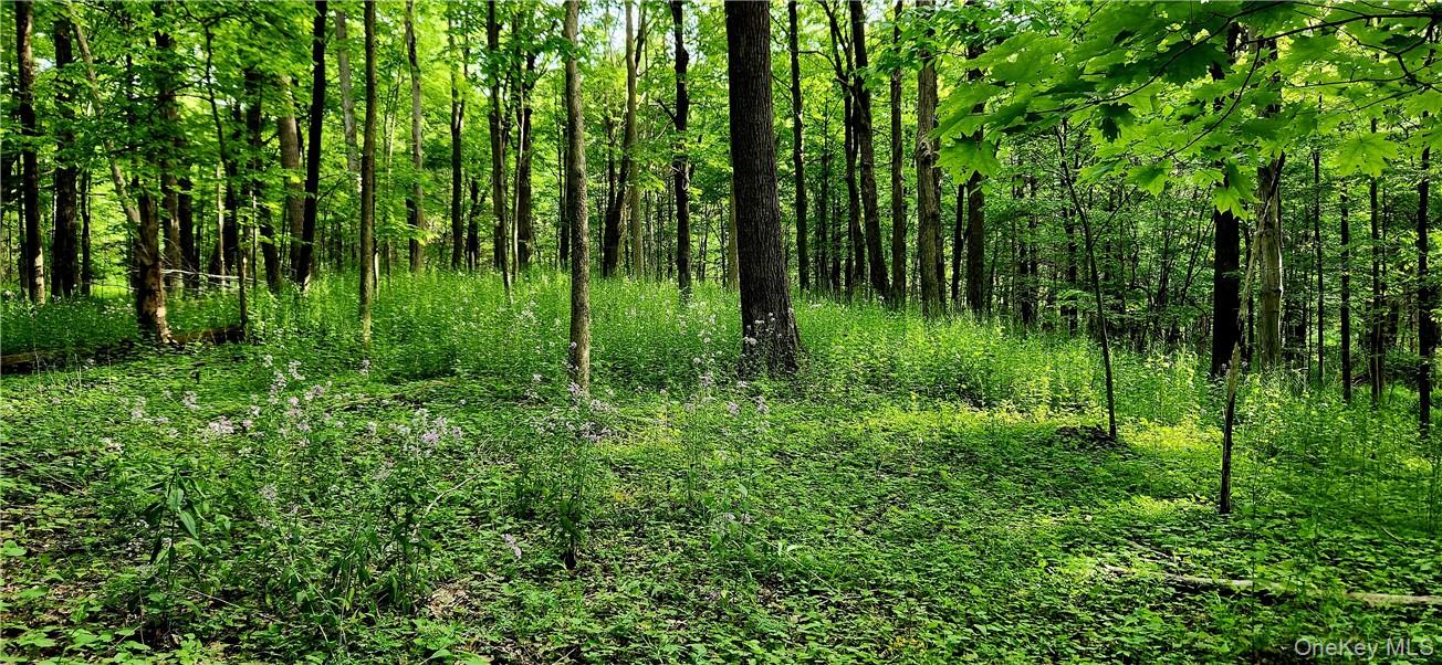 34 Stonykill & Granite Road, Accord, NY 12404