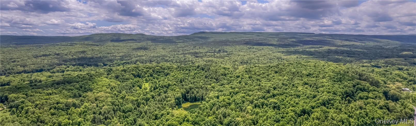 34 Stonykill & Granite Road, Accord, NY 12404