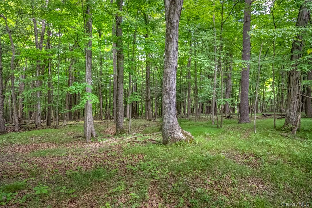 34 Stonykill & Granite Road, Accord, NY 12404