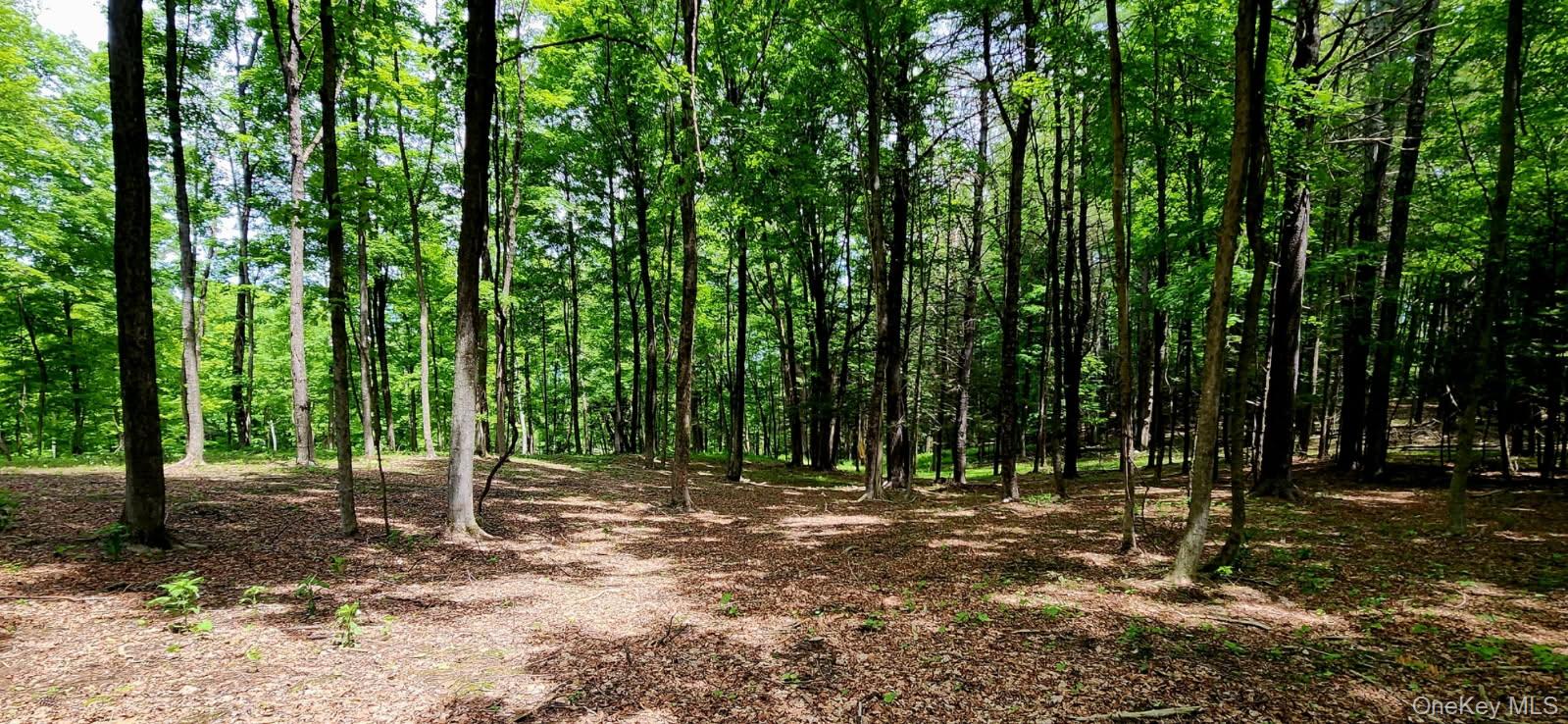 34 Stonykill & Granite Road, Accord, NY 12404