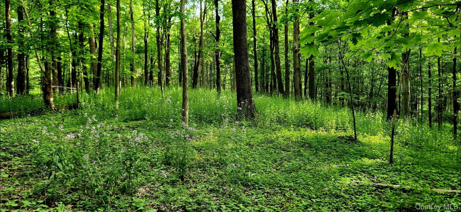 34 Stonykill & Granite Road, Accord, NY 12404