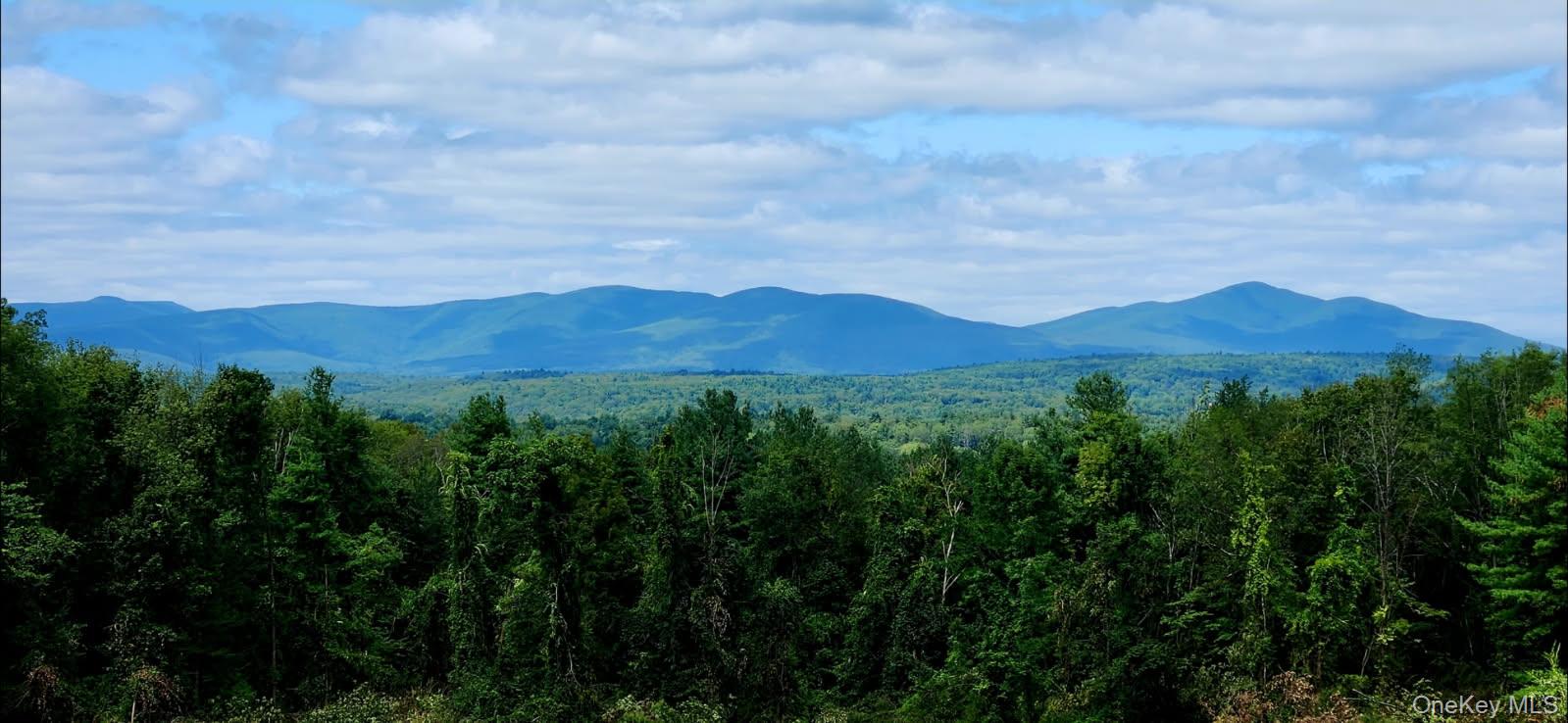 34 Stonykill & Granite Road, Accord, NY 12404