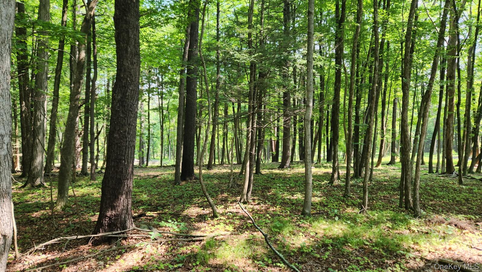 34 Stonykill & Granite Road, Accord, NY 12404