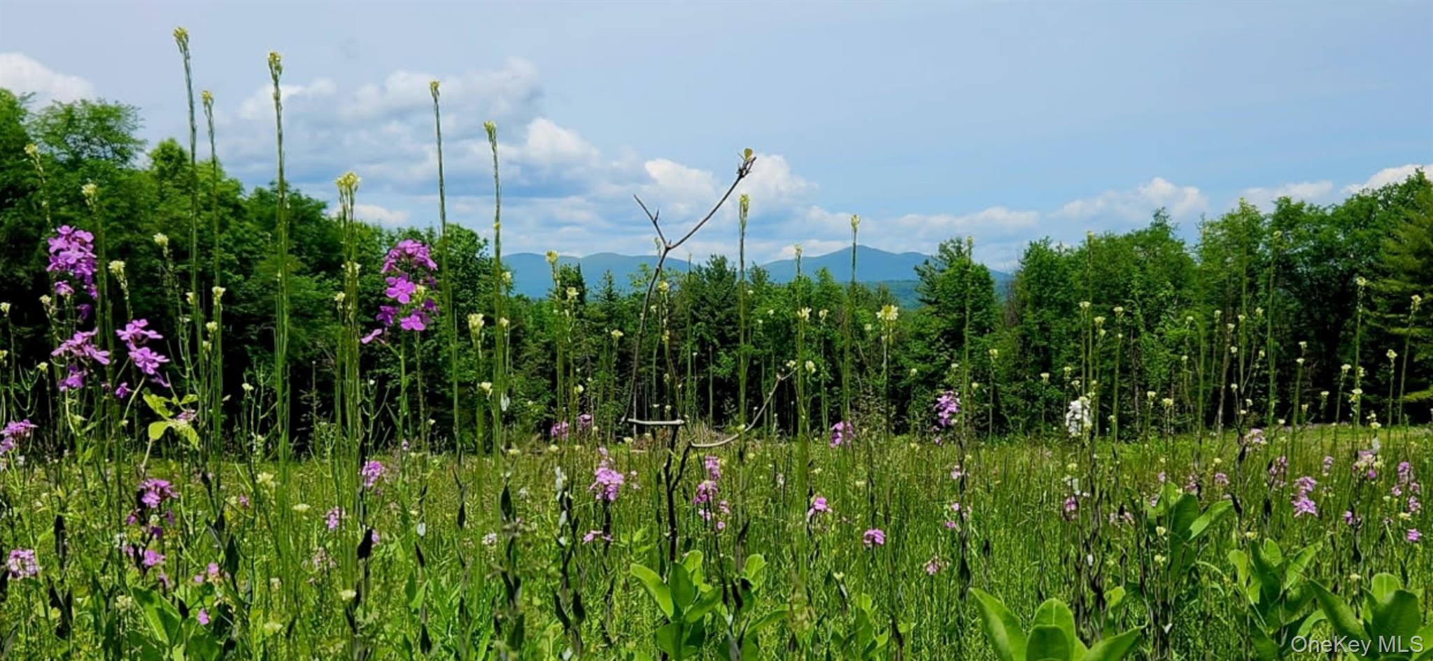 34 Stonykill & Granite Road, Accord, NY 12404