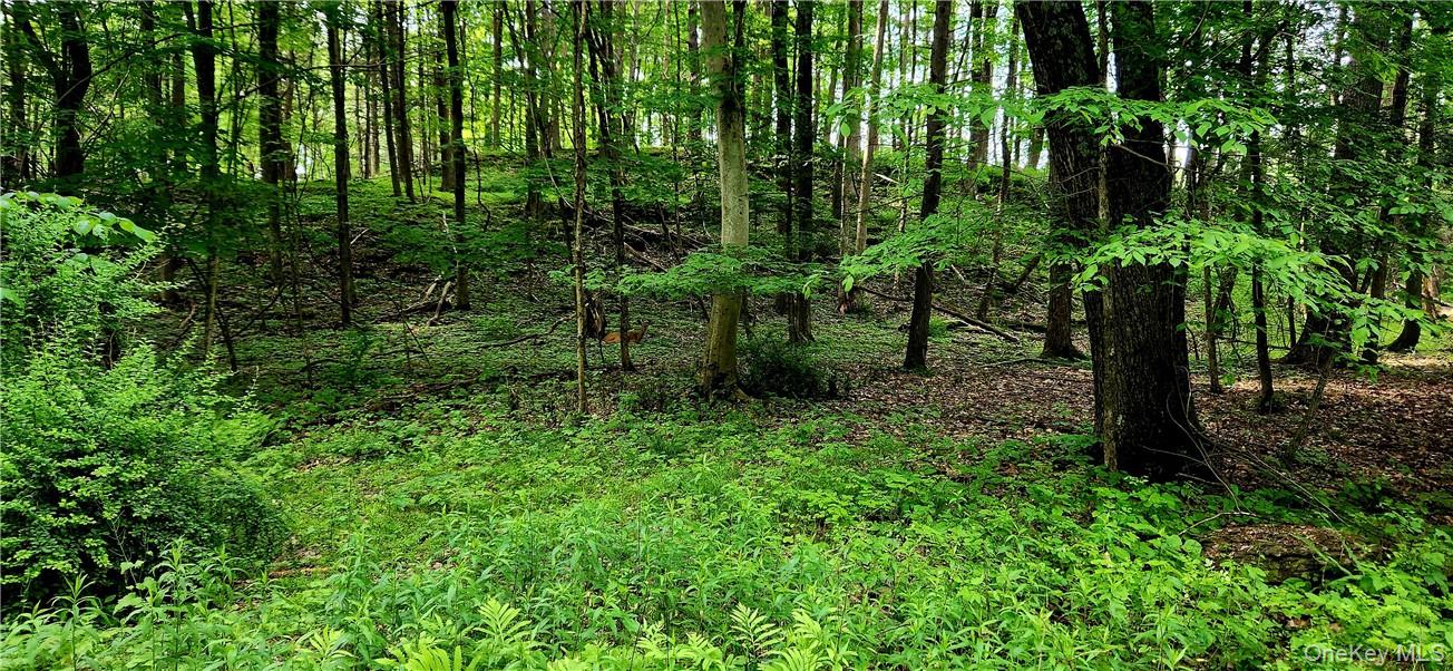 34 Stonykill & Granite Road, Accord, NY 12404