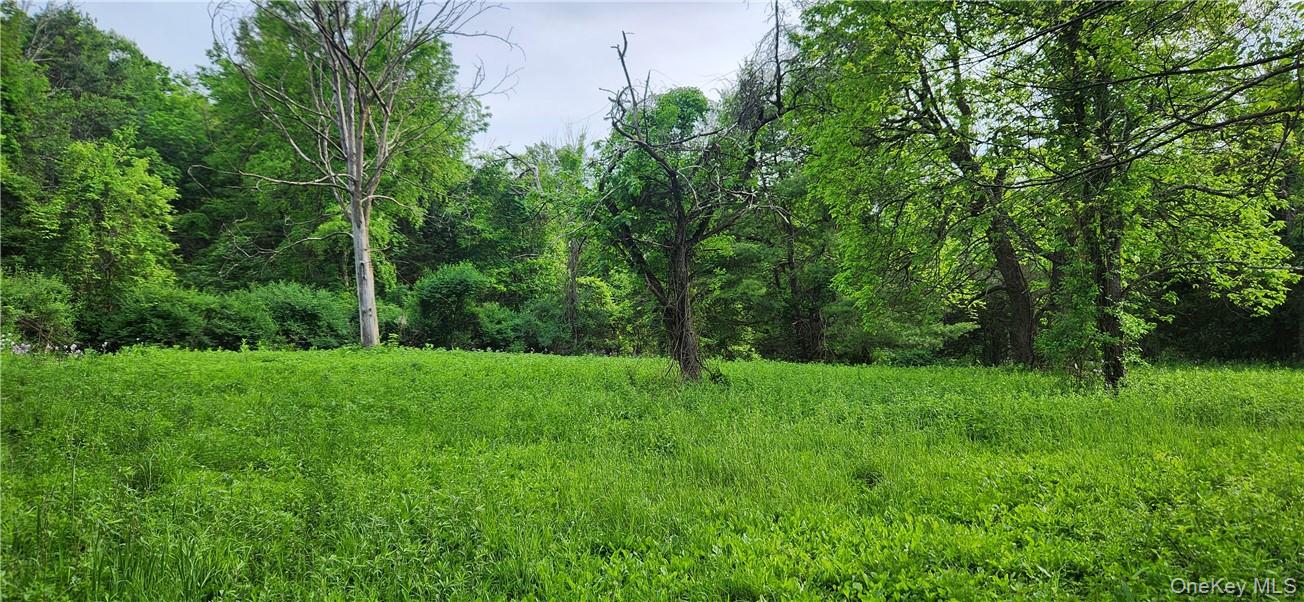 34 Stonykill & Granite Road, Accord, NY 12404