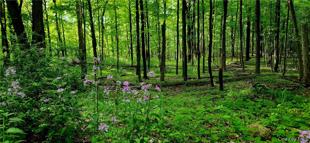 34 Stonykill & Granite Road, Accord, NY 12404