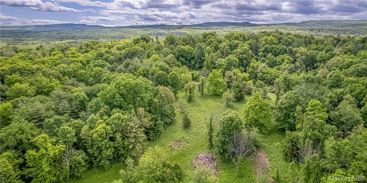 34 Stonykill & Granite Road, Accord, NY 12404