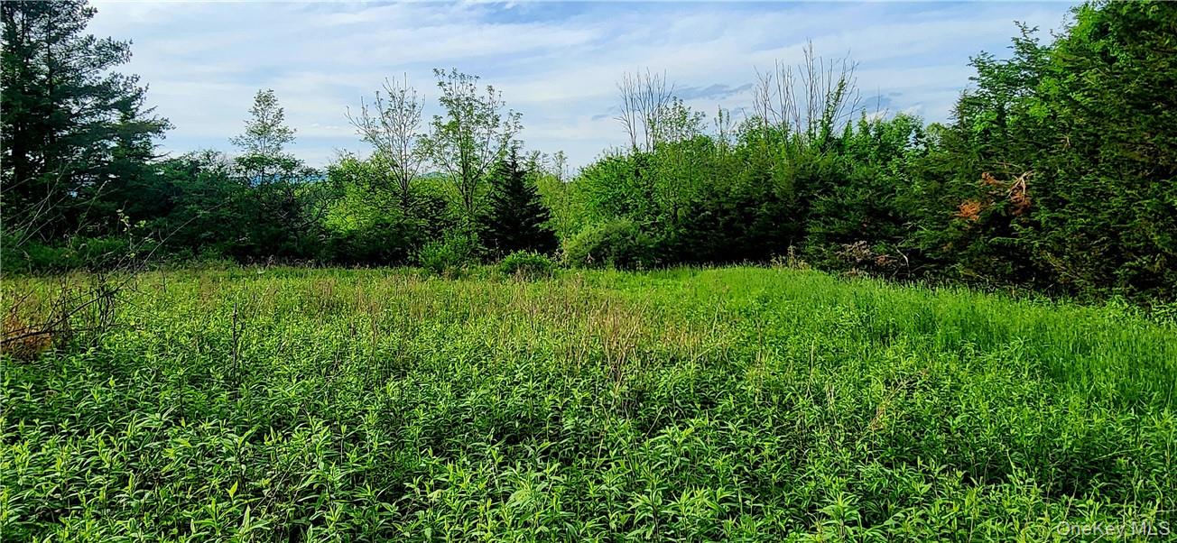 34 Stonykill & Granite Road, Accord, NY 12404