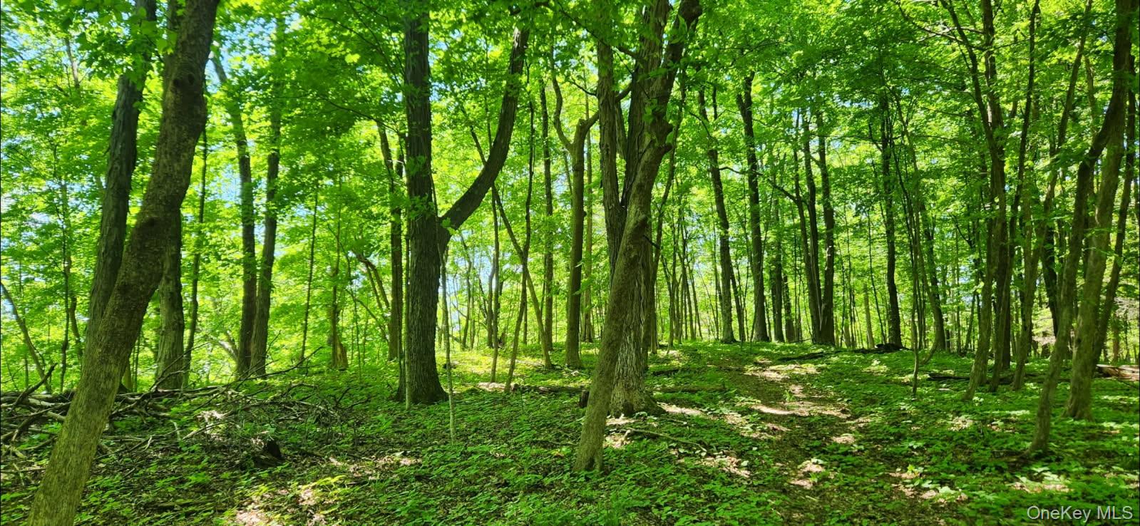 34 Stonykill & Granite Road, Accord, NY 12404