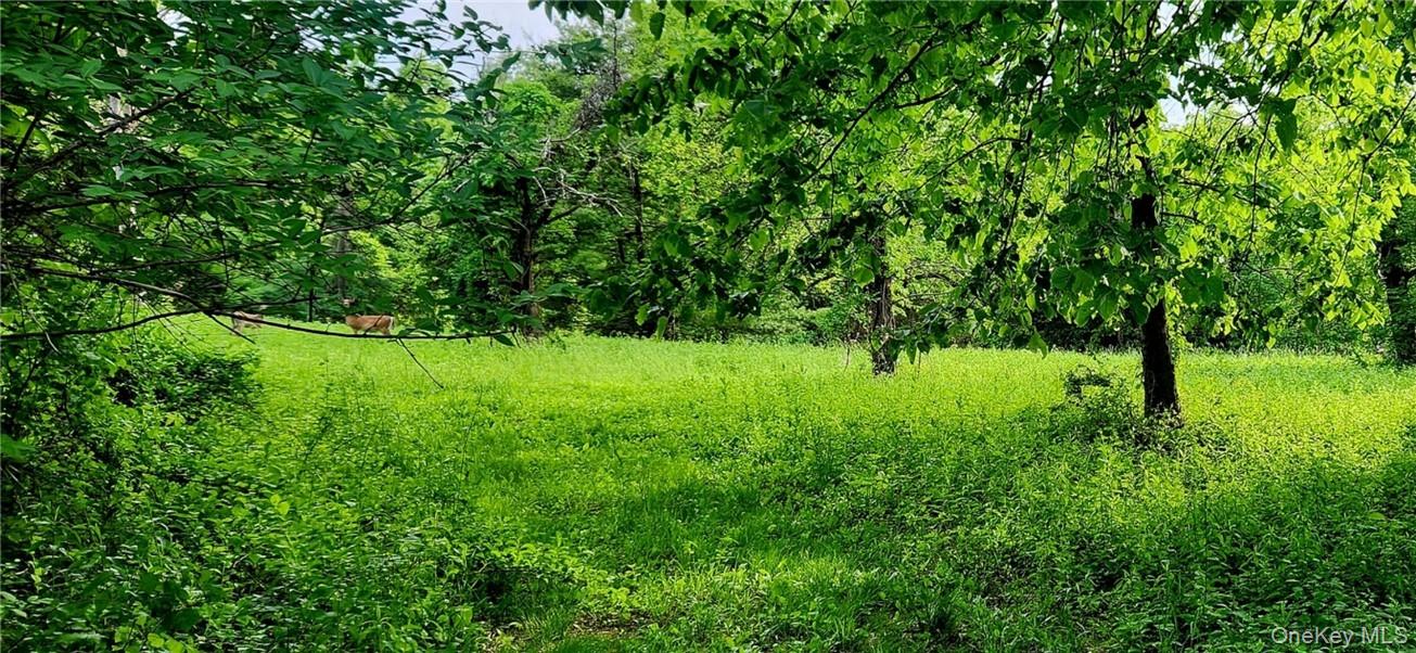 34 Stonykill & Granite Road, Accord, NY 12404