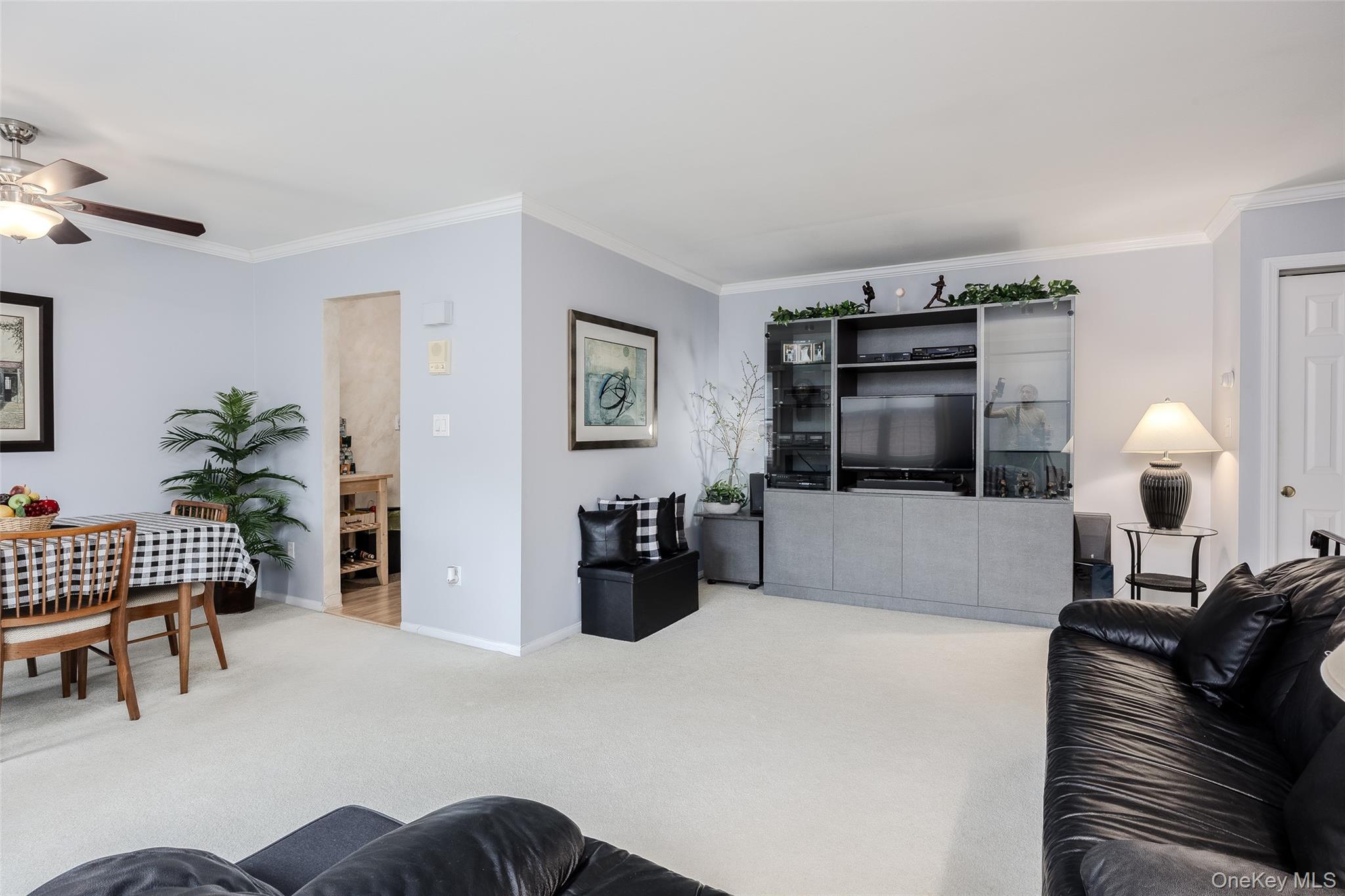 301 Hicksville Road # 8, Bethpage, NY 11714