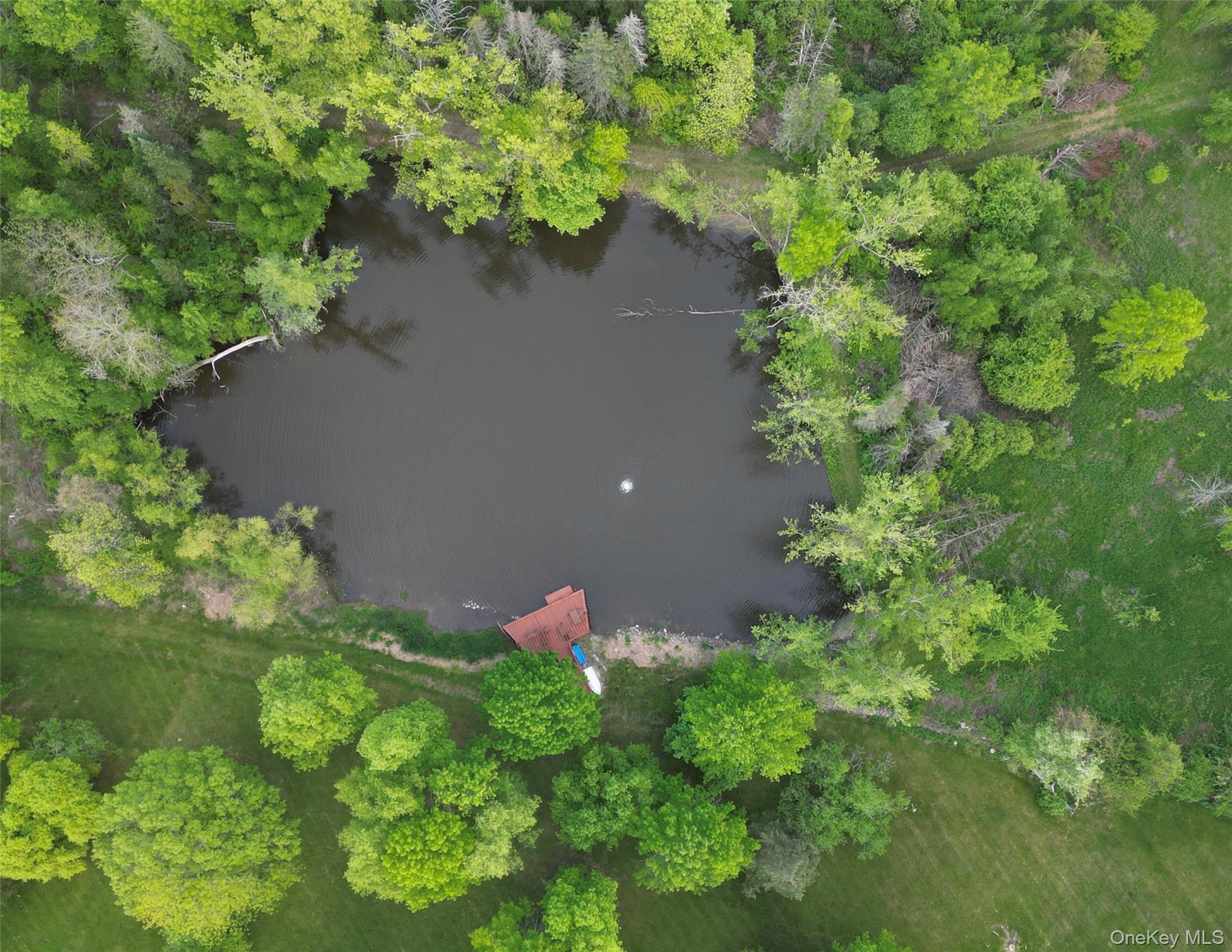 143 Bedell, Poughkeepsie, NY 12603