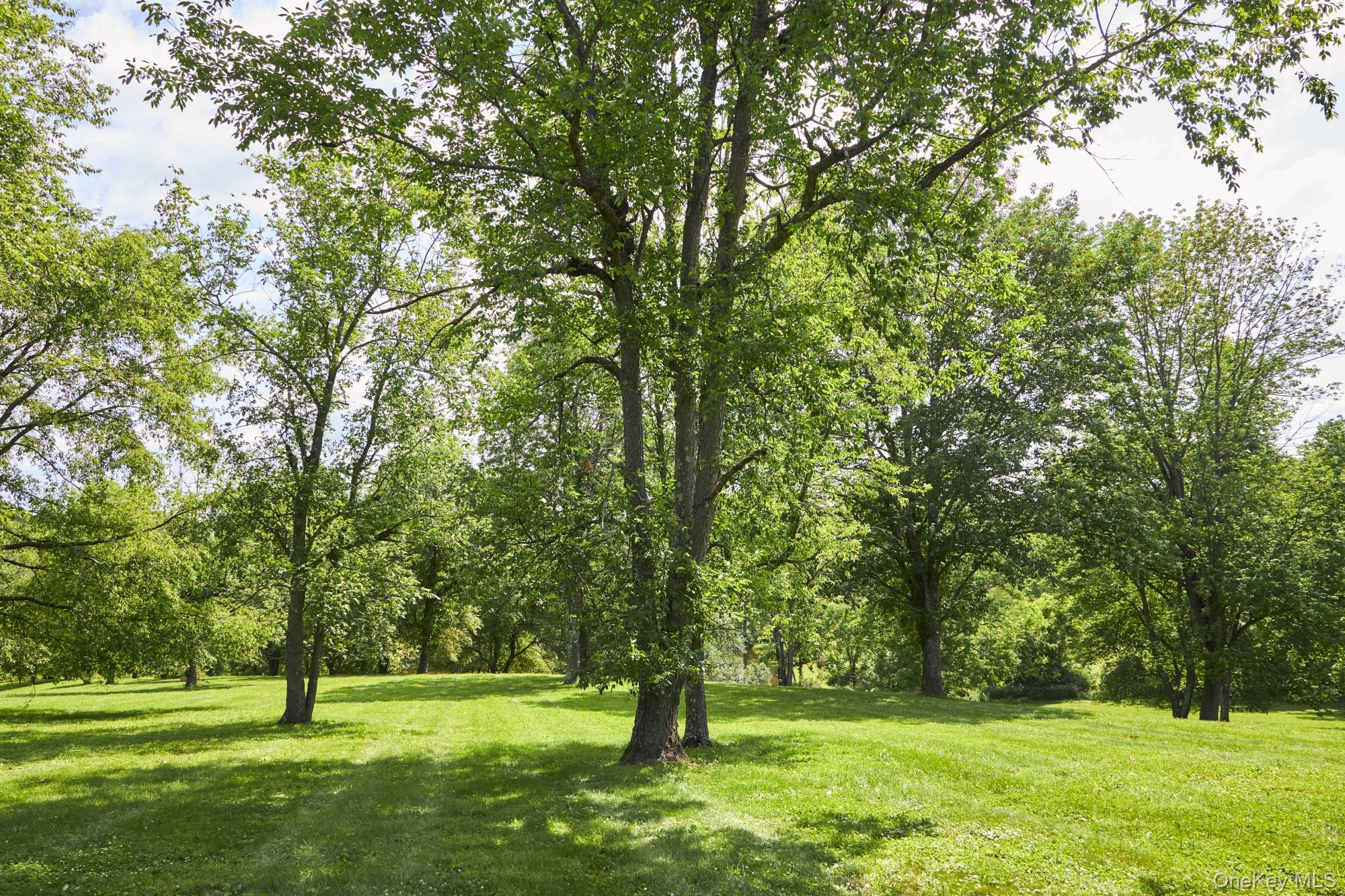 143 Bedell, Poughkeepsie, NY 12603