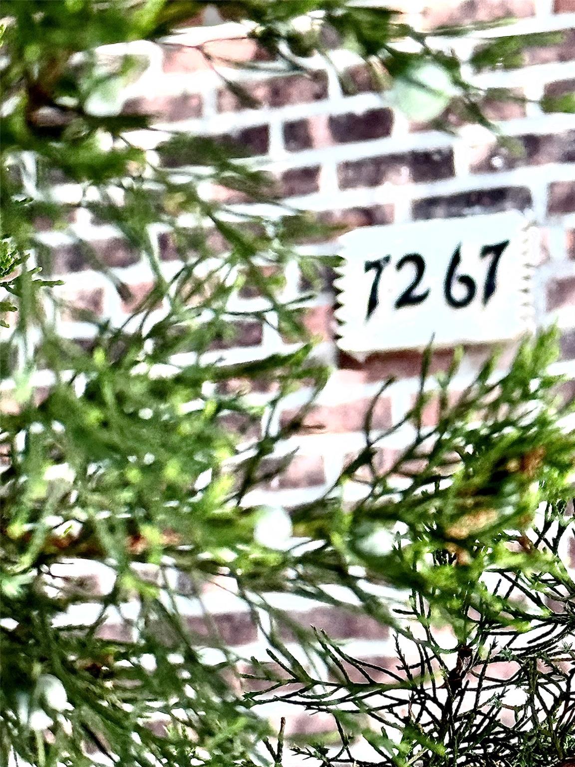 7267 Yellowstone Boulevard, Forest Hills, NY 11375