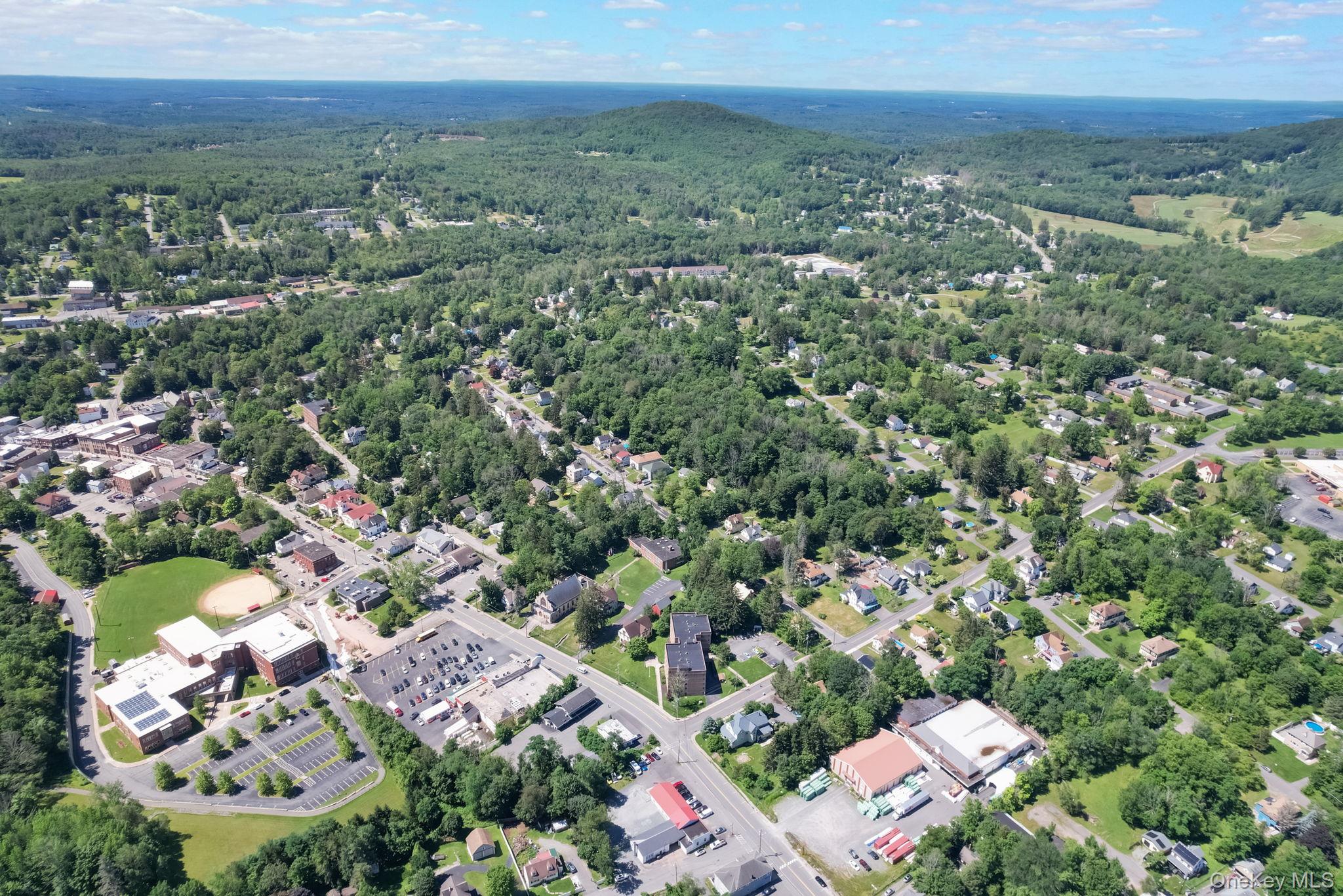 301 N Main Street, Liberty, NY 12754