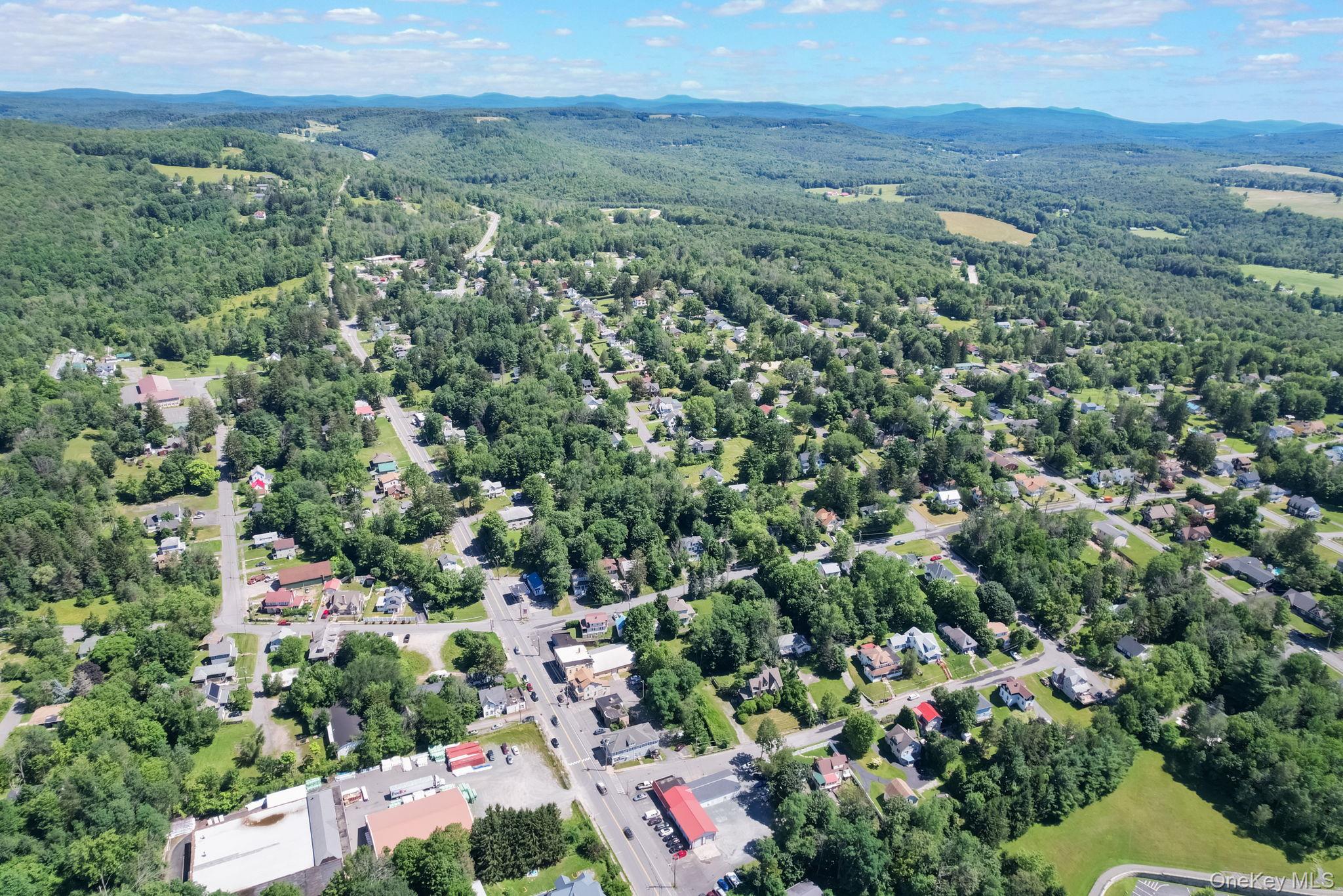 301 N Main Street, Liberty, NY 12754