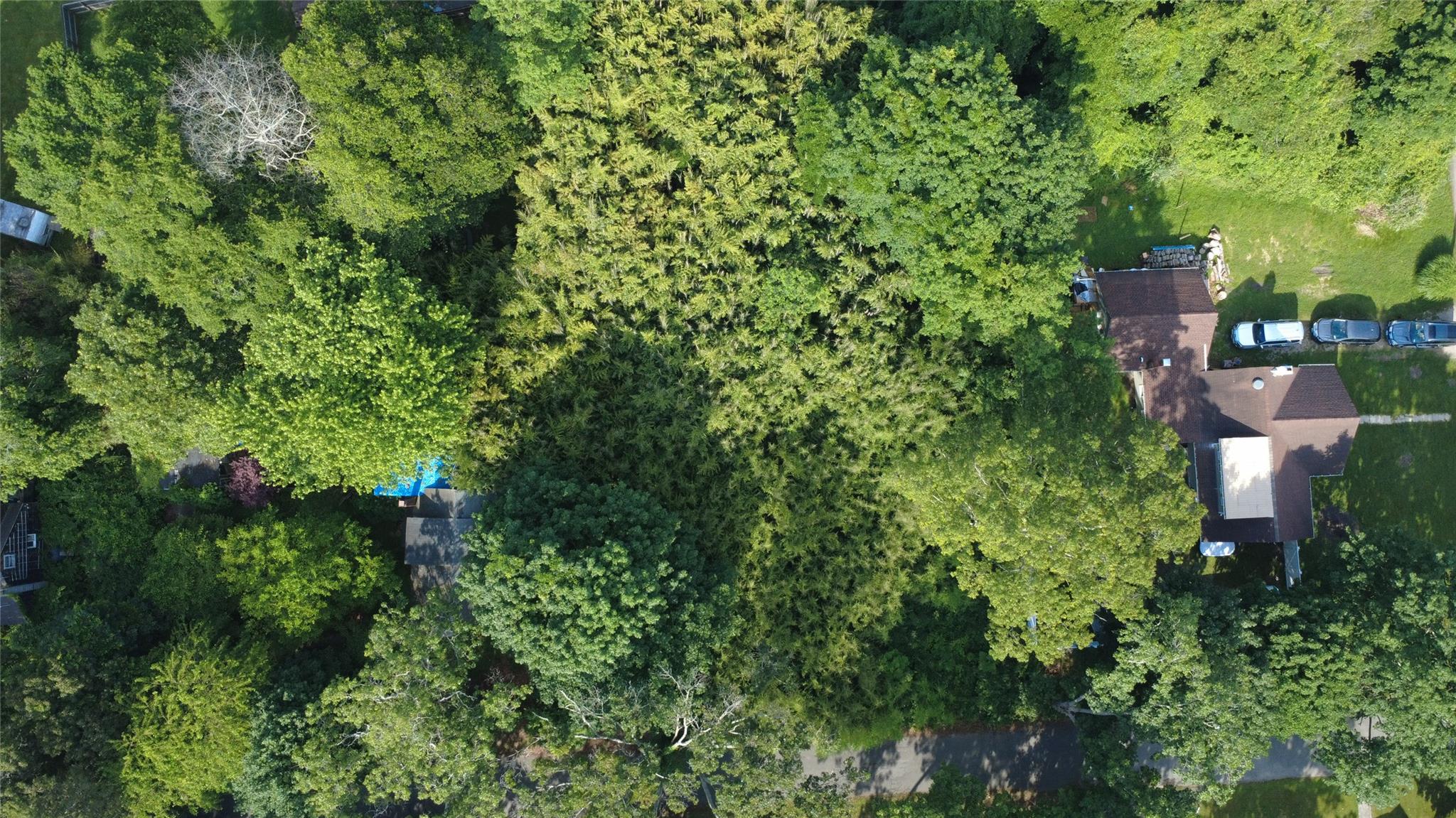 Montauk Drive, Mastic Beach, NY 11951