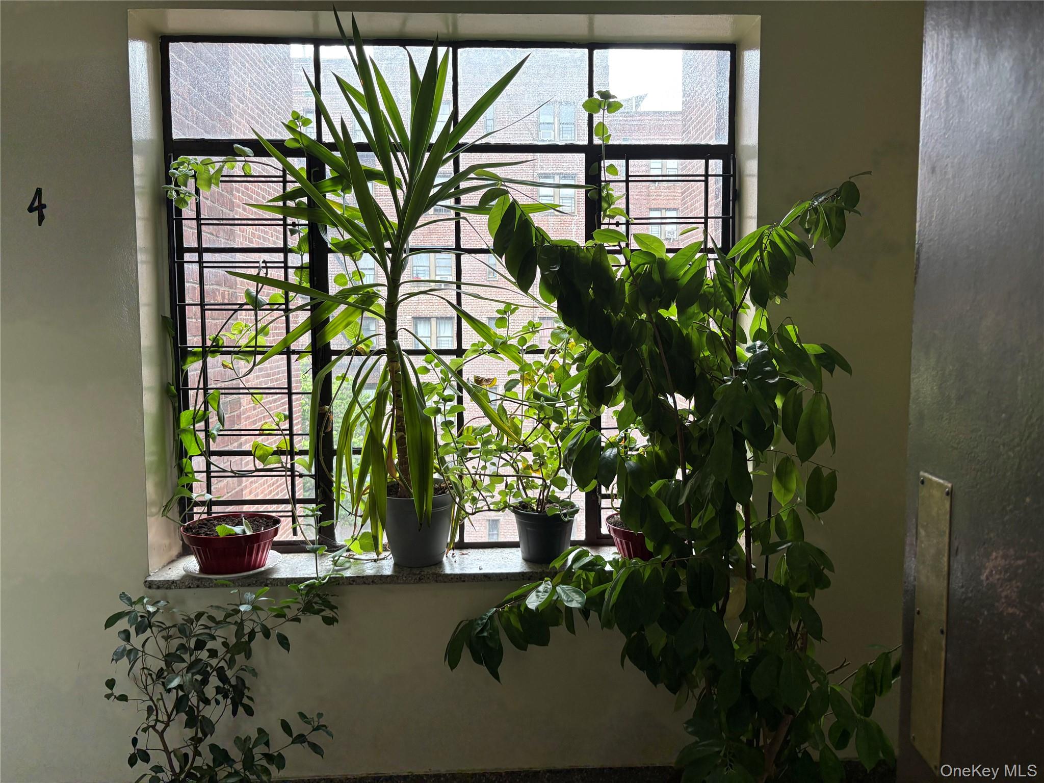 2090 Barnes Avenue # 4D, Bronx, NY 10462