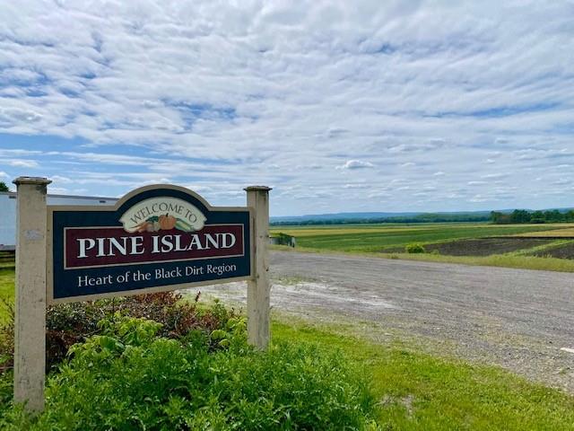 56 Maple Avenue, Warwick, NY 10990