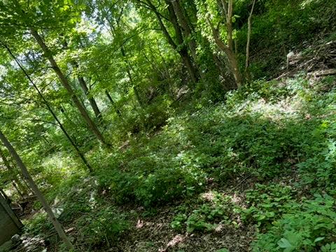 22 Beilke Road, Millerton, NY 12546