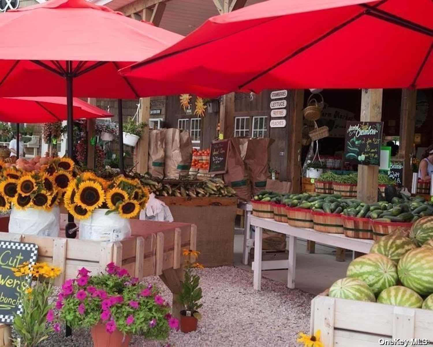 64230 County Road 48 Road, Greenport, NY 11944