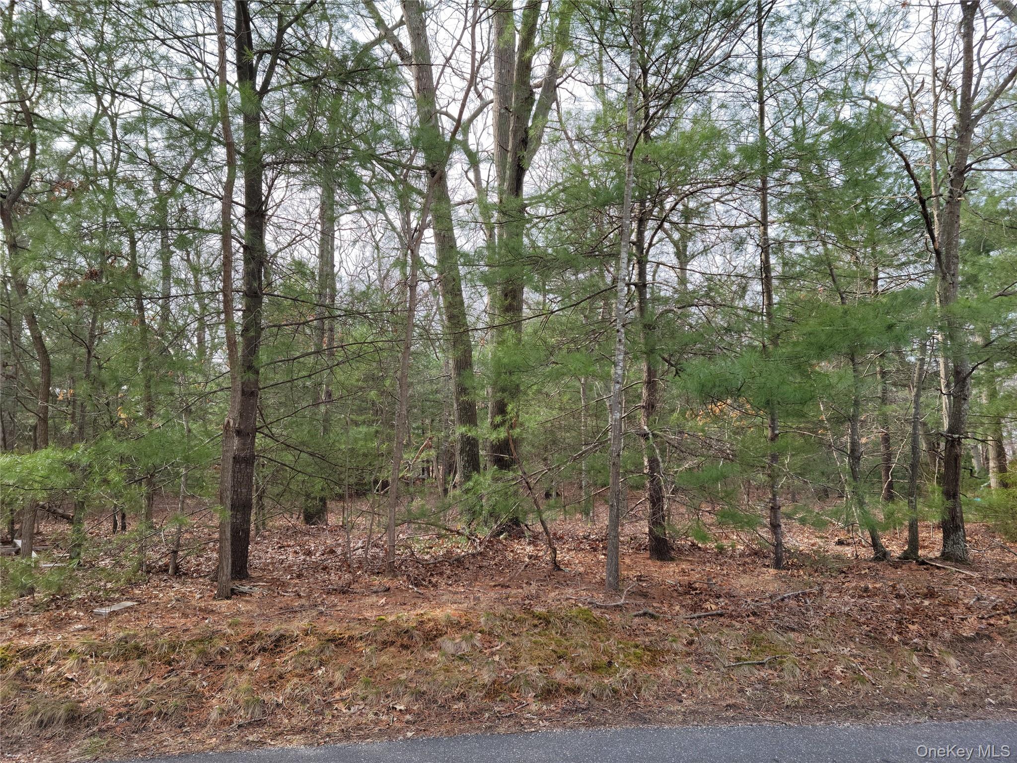 Lake Terrace, Middle Island, NY 11953