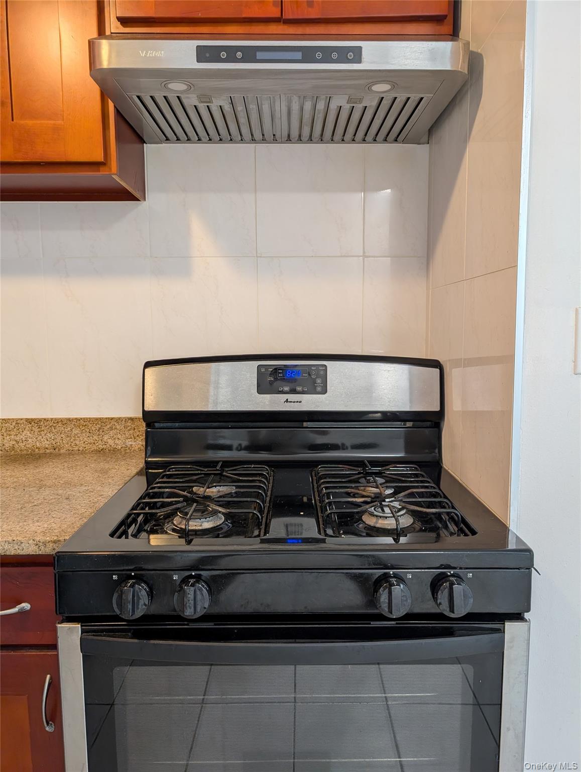 4304 158th Street # L4, Flushing, NY 11358