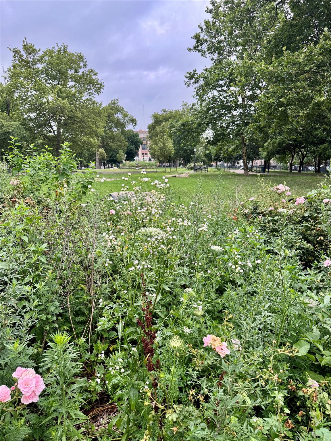 219 Weirfield Street # 5, Brooklyn, NY 11221