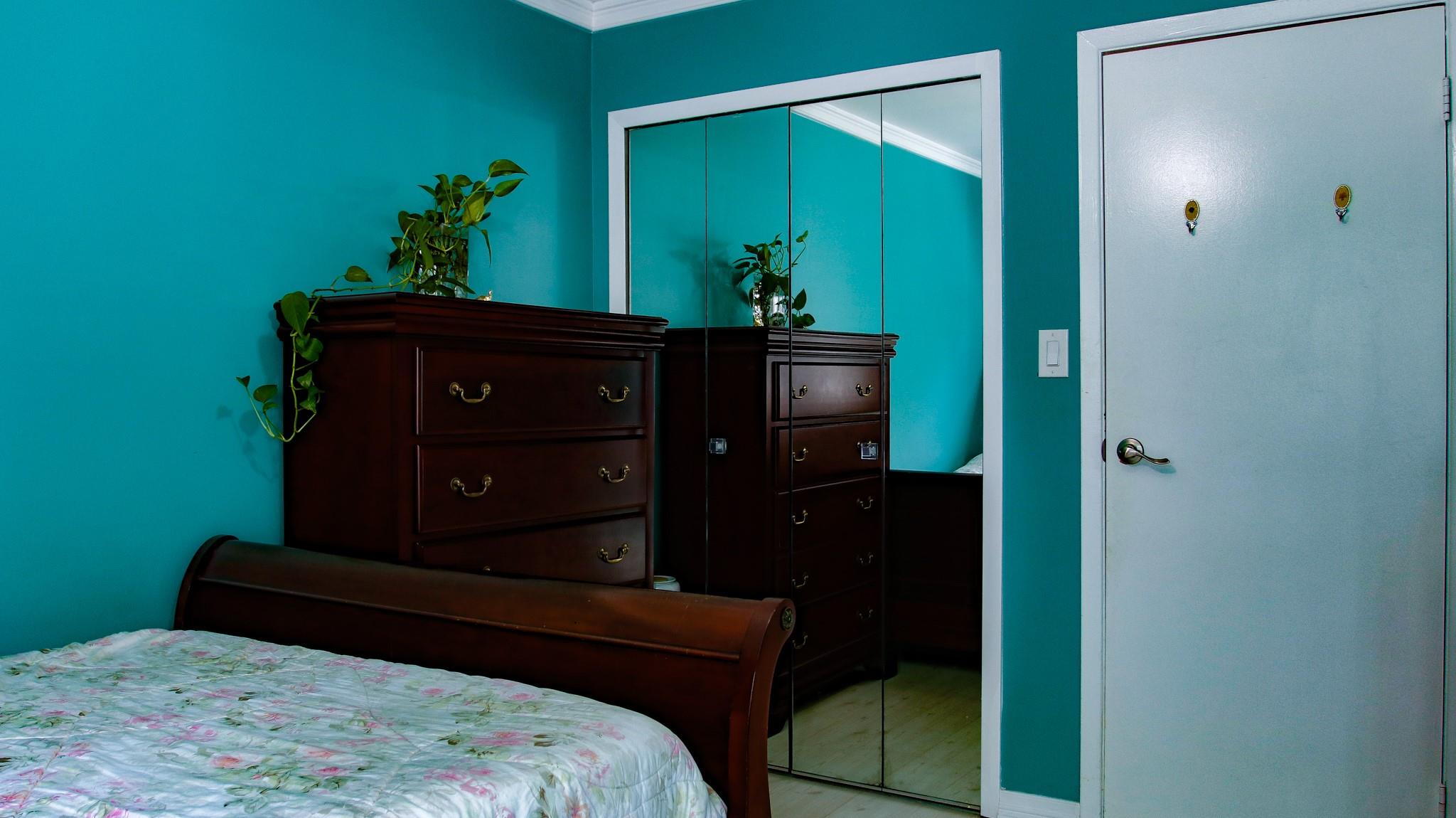 11 Manors Drive, Jericho, NY 11753