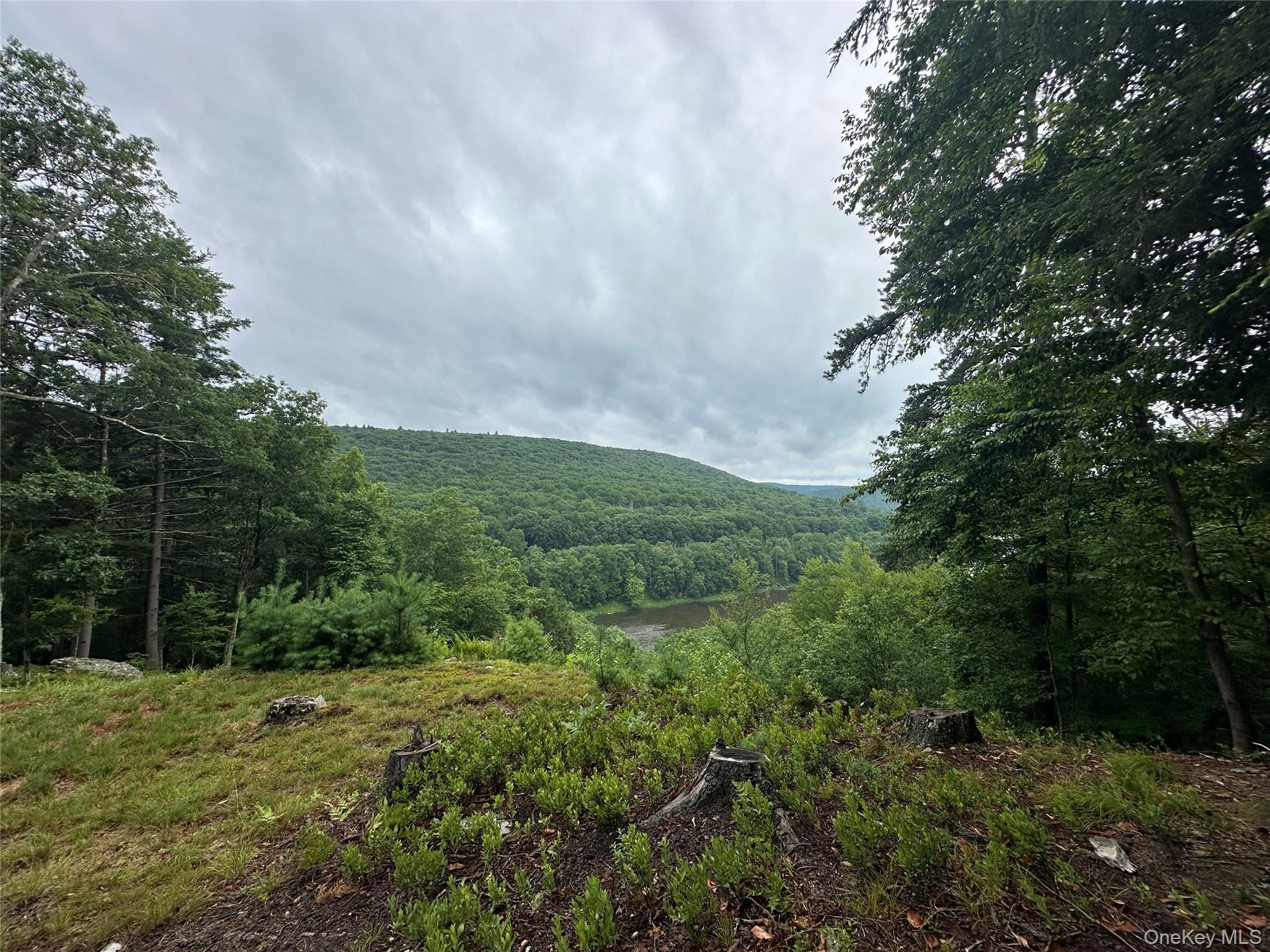 2139 State Route 97, Pond Eddy, NY 12770