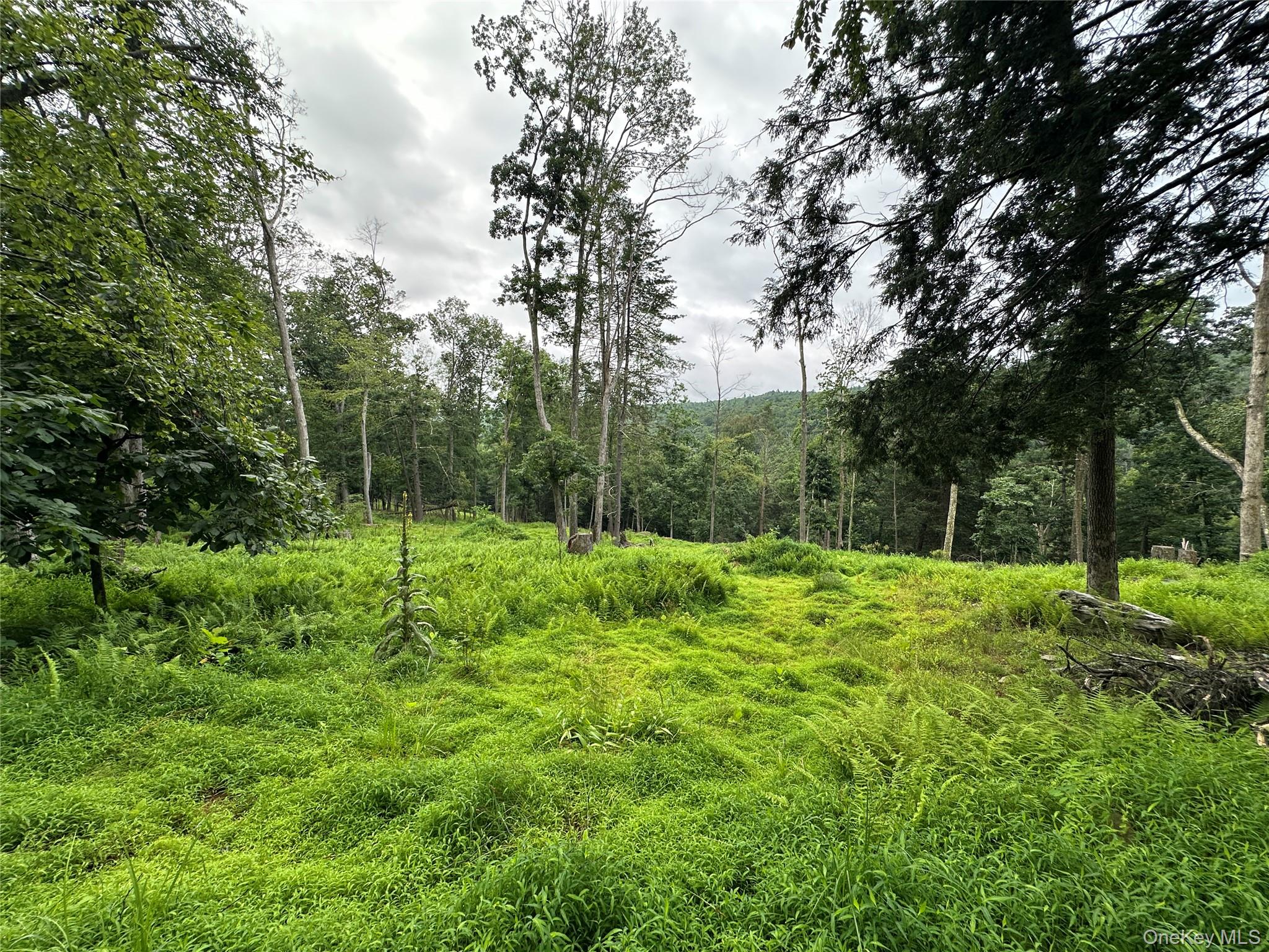 2139 State Route 97, Pond Eddy, NY 12770