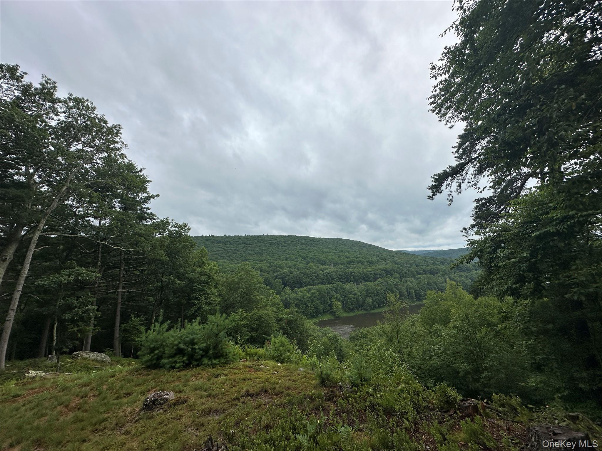 2139 State Route 97, Pond Eddy, NY 12770