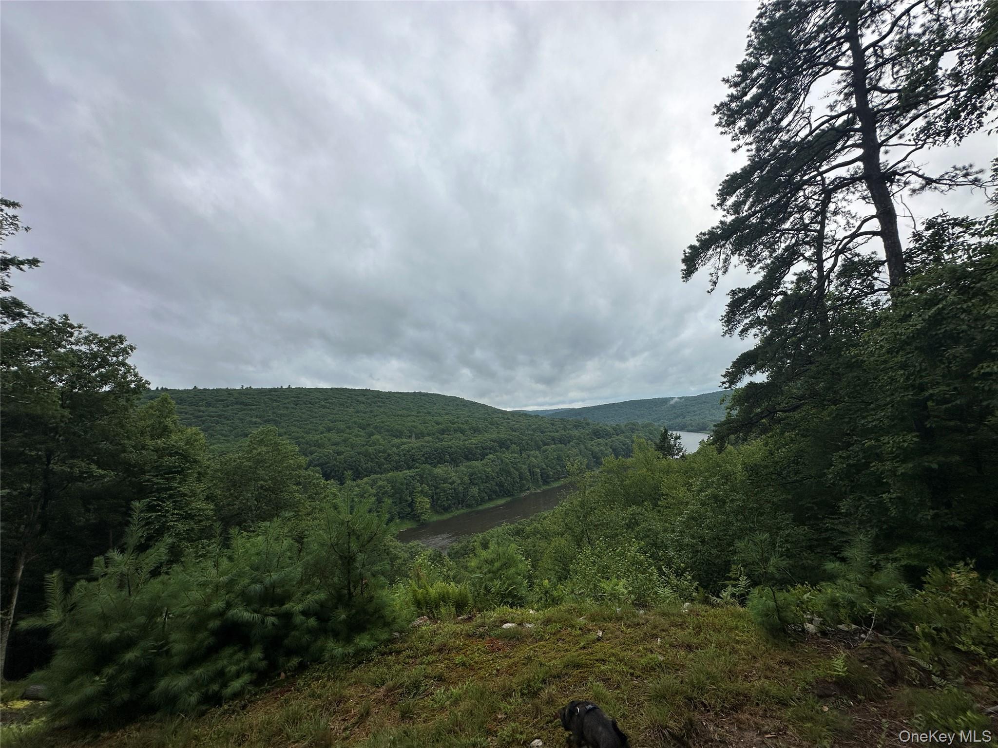 2139 State Route 97, Pond Eddy, NY 12770