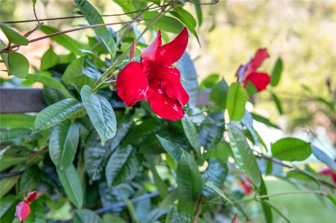 11 Lawrence Lane, Palisades, NY 10964