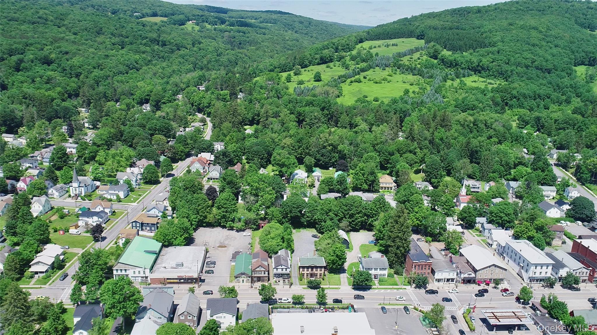 72 Main Street, Delhi, NY 13753