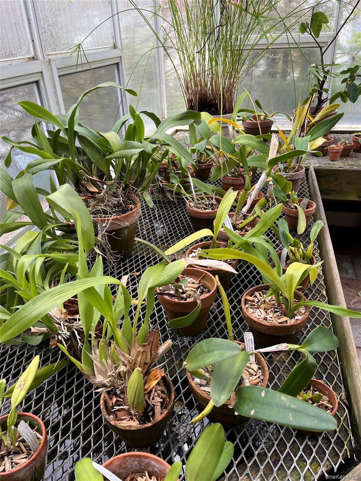 92 Walnut Street, Lynbrook, NY 11563