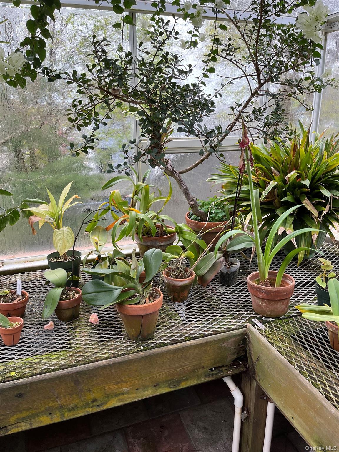 92 Walnut Street, Lynbrook, NY 11563