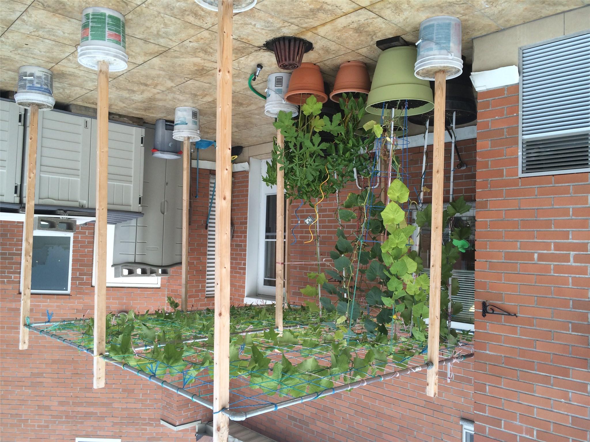 14075 Ash Avenue # 7D, Flushing, NY 11355