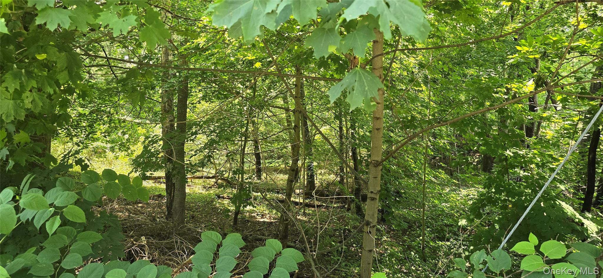 VL Yaphank-Middle Island Road, Yaphank, NY 11980