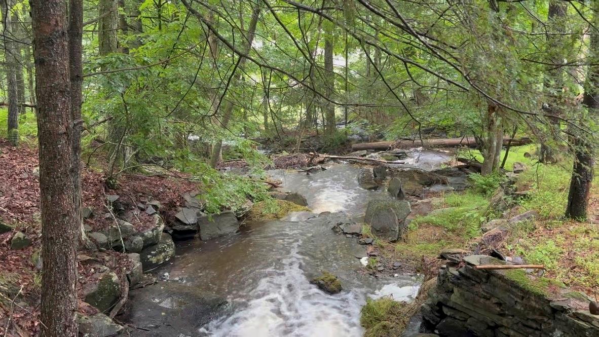 20 Airport Road, Eldred, NY 12732