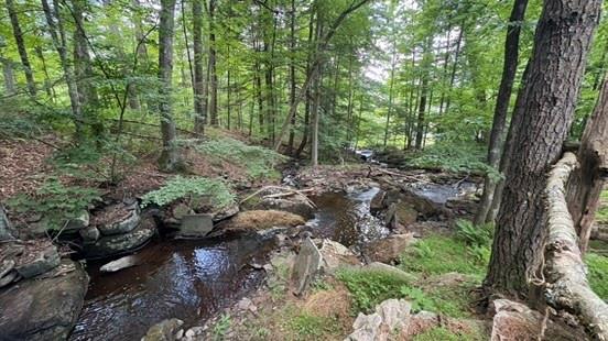 20 Airport Road, Eldred, NY 12732