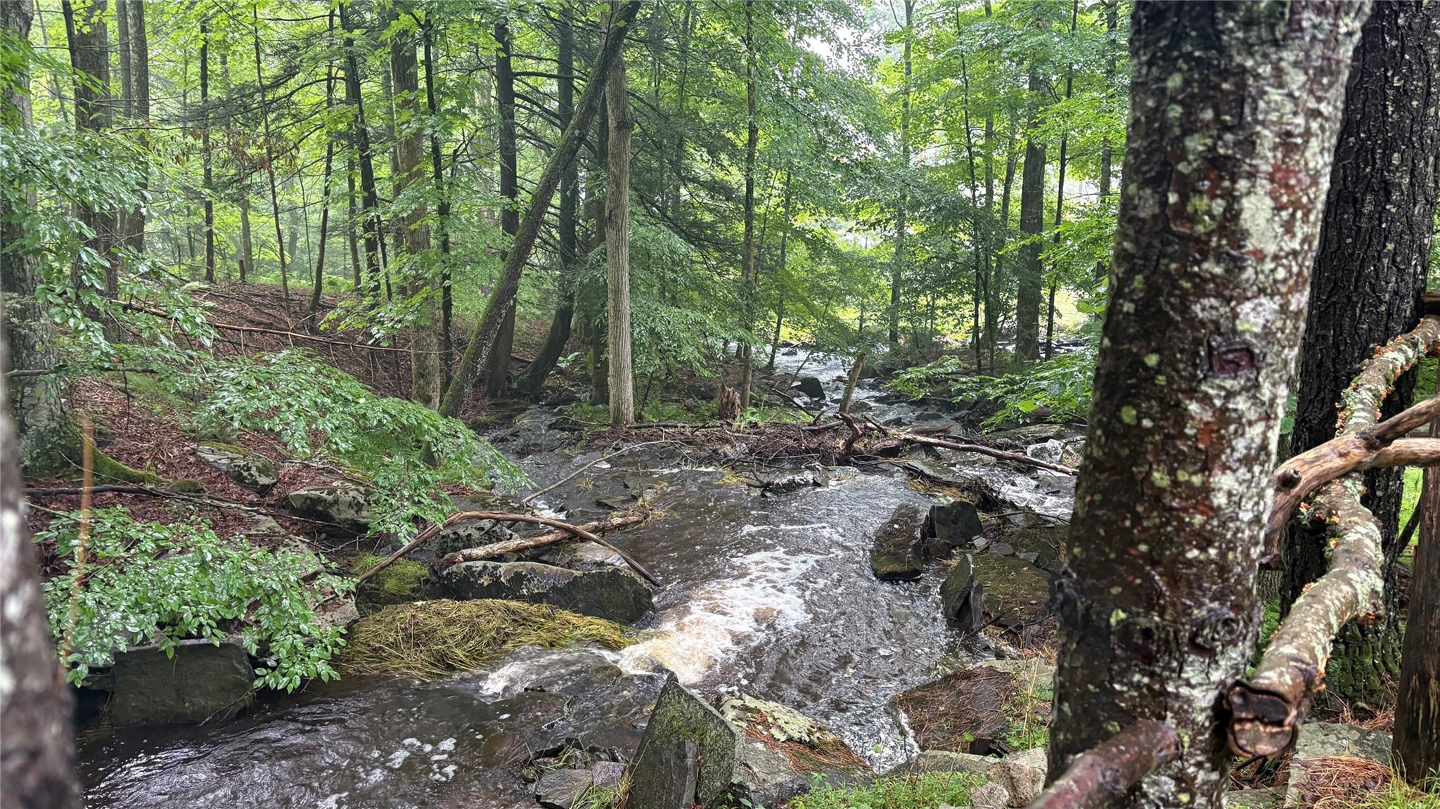 20 Airport Road, Eldred, NY 12732