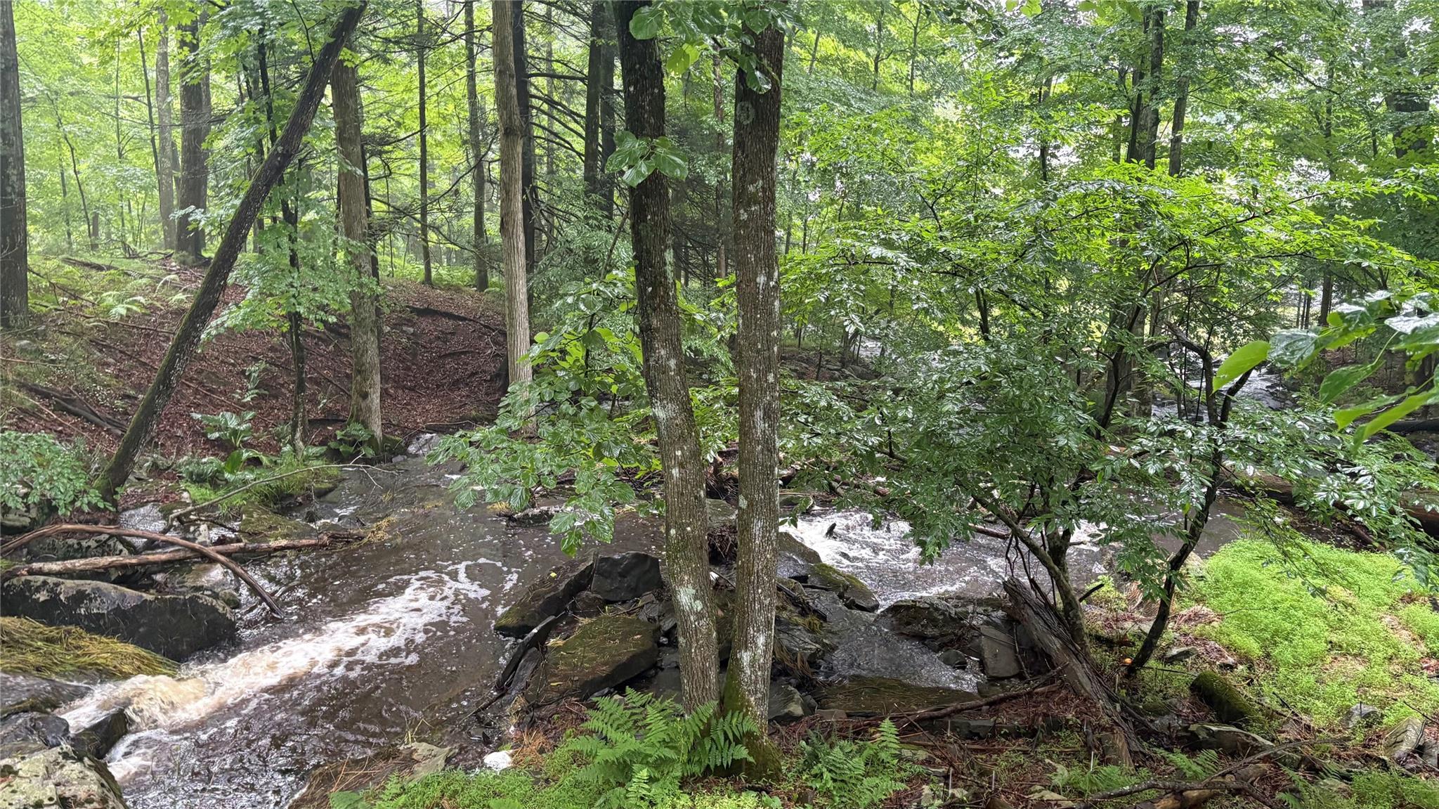 20 Airport Road, Eldred, NY 12732